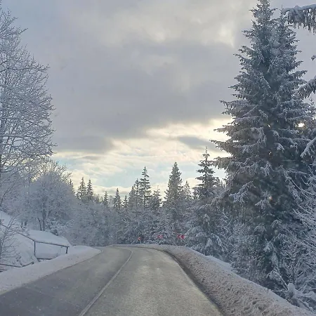 лісова хатинка Appartement
