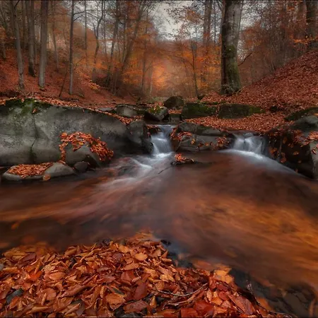 лісова хатинка