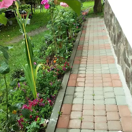 Appartement лісова хатинка *