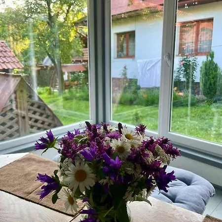 Appartement лісова хатинка *