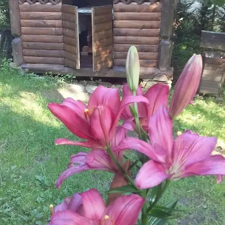 лісова хатинка Apartamento Kelechin