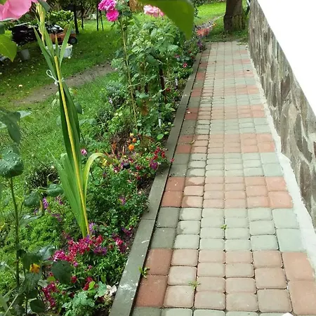 Apartamento лісова хатинка *