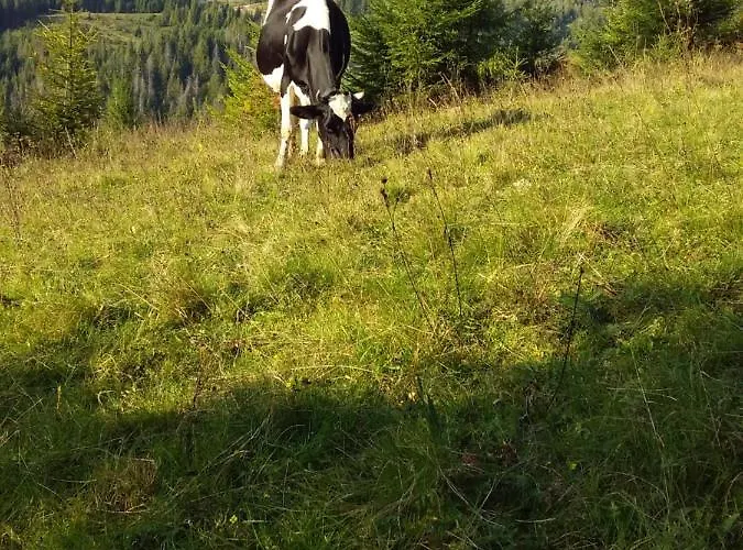 лісова хатинка Kelechin